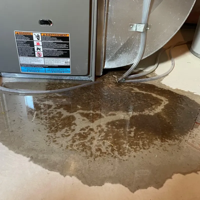 Appliance Leak Cleanup in Richmond County, NC